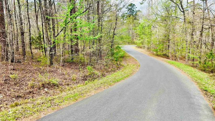 00 Dominar Way, Hot Springs Village, AR 71909 - #2