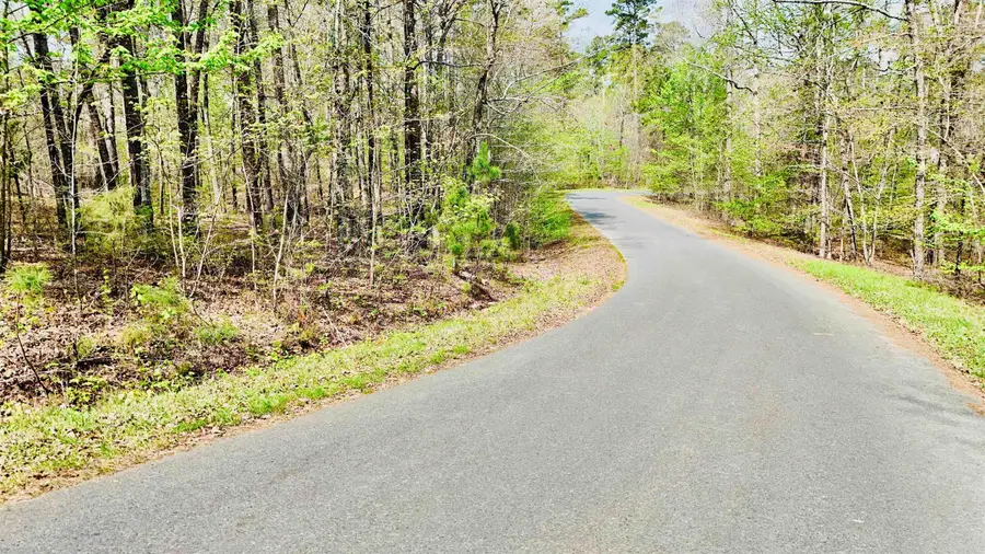 00 Dominar Way, Hot Springs Village, AR 71909 - #3