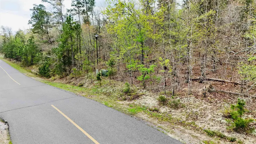 00 Cetrero Way, Hot Springs Village, AR 71909 - #3