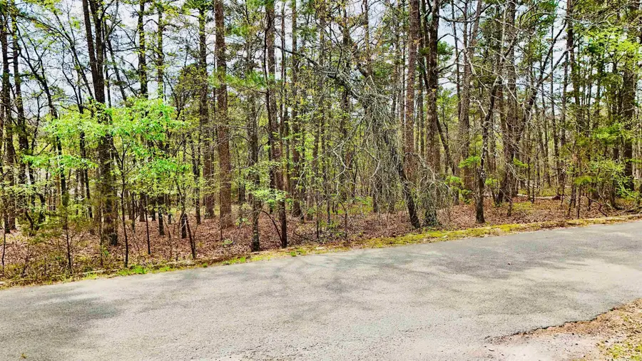00 Cresta Lane, Hot Springs Village, AR 71909 - #2