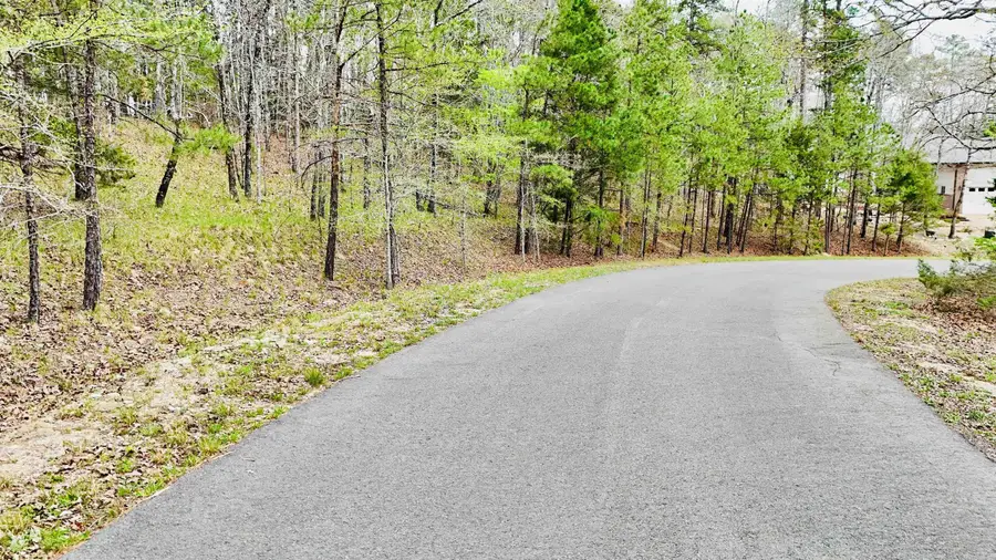 00 Halago Place, Hot Springs Village, AR 71909 - #3