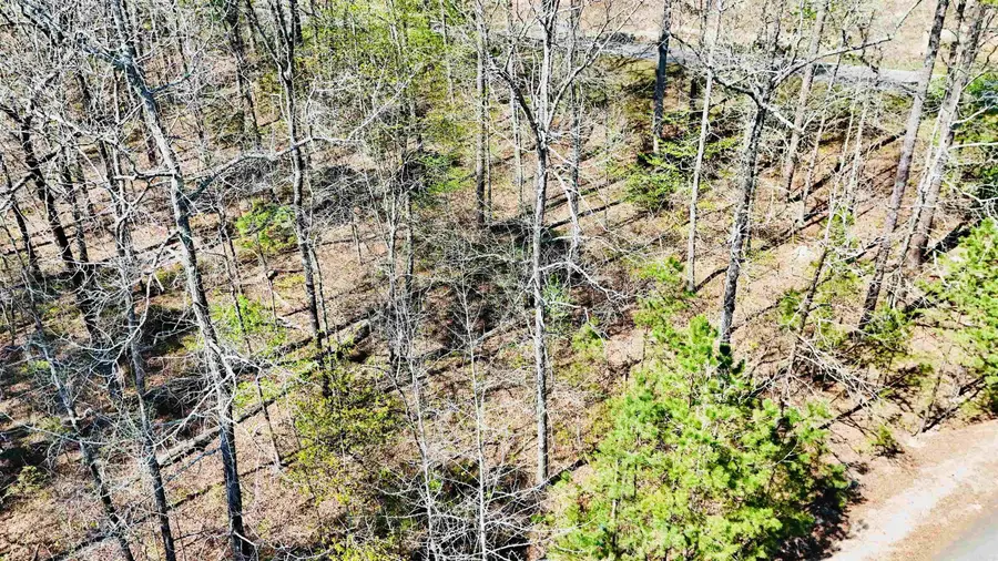 00 Hendaya Way, Hot Springs Village, AR 71909 - #2