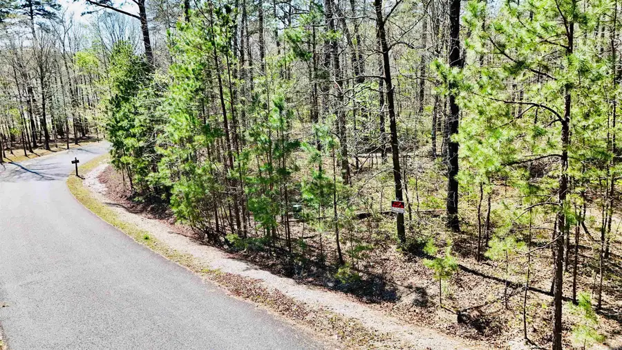 00 Hendaya Way, Hot Springs Village, AR 71909 - #3