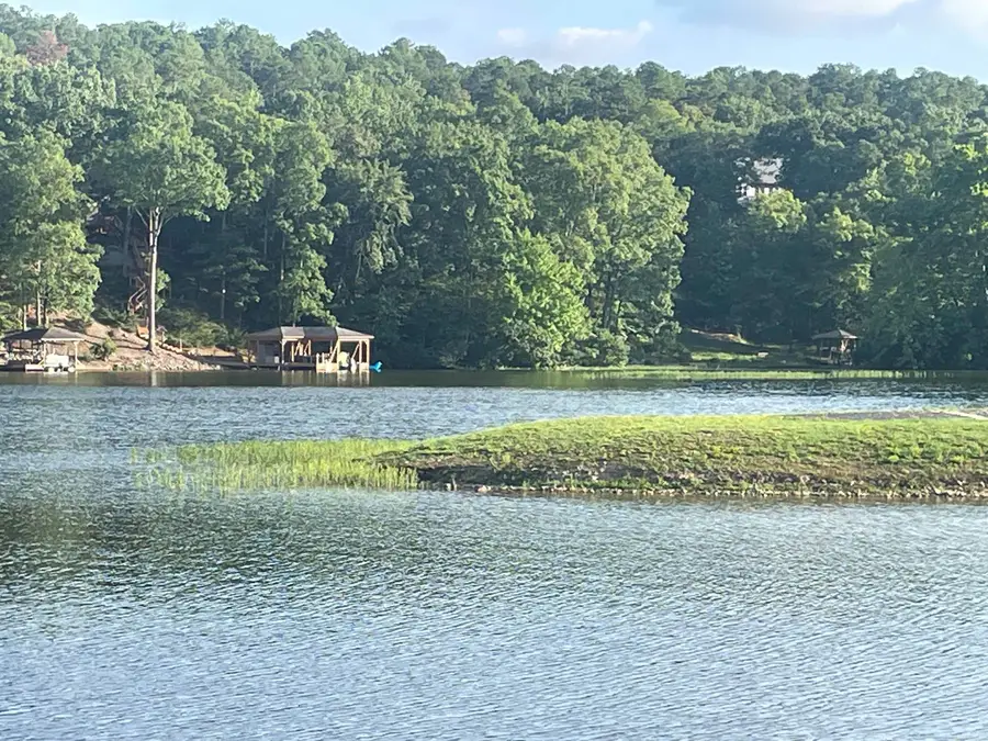 31 Fineza Way, Hot Springs Village, AR 71909 - #3