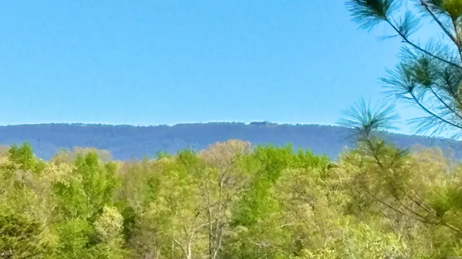 Tract 19 Avalon Lake Lane, Mena, AR 71953 - #3