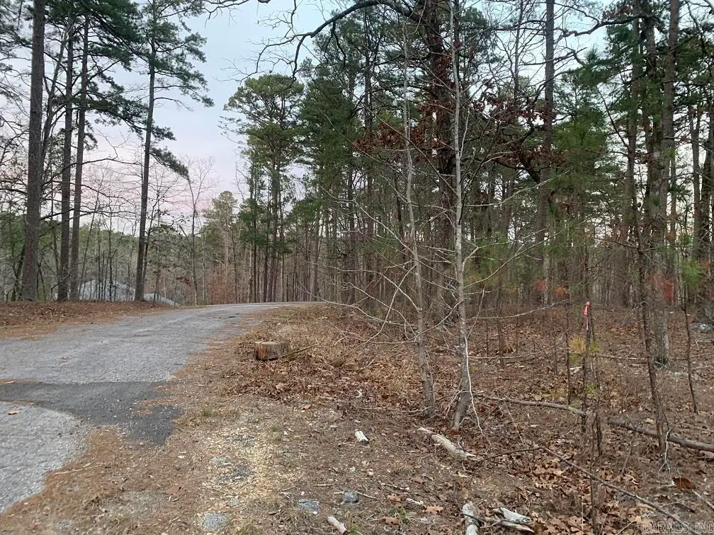 Cima Way, Hot Springs Village, AR 71909 - #1