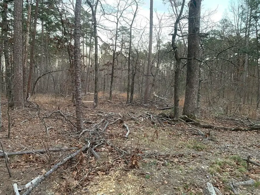 Cima Way, Hot Springs Village, AR 71909 - #3