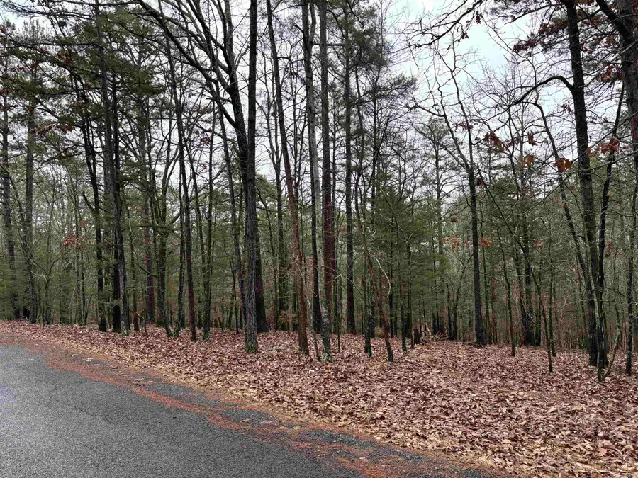 000 Genie Lane, Edgemont, AR 72044 - #2