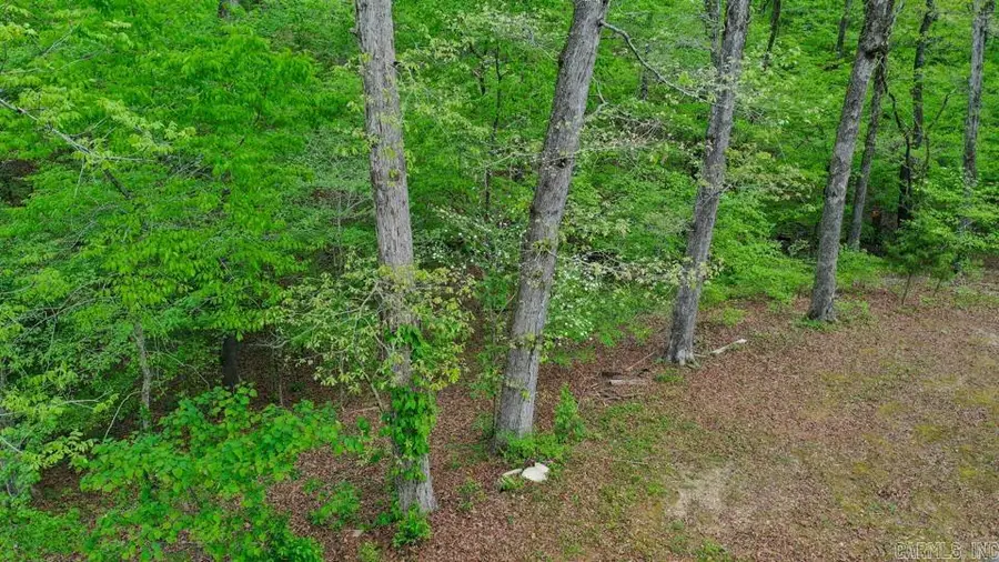 181 Bearce Circle, Mount Ida, AR 71957 - #3