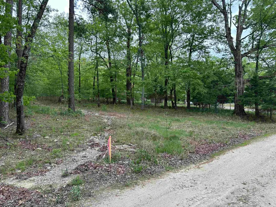 Asbury Road, Magnet Cove, AR 72104 - #3