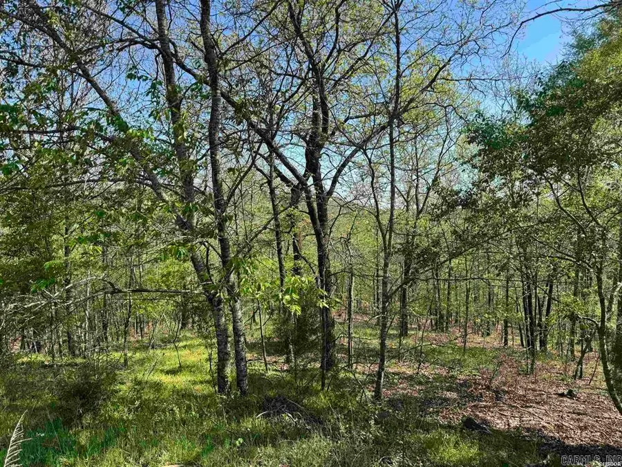 xxx Covey Rise Trail, Hot Springs, AR 71901 - #3