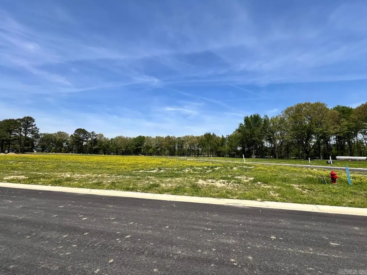 111 Horseshoe Creek Drive, Brookland, AR 72417 - #1