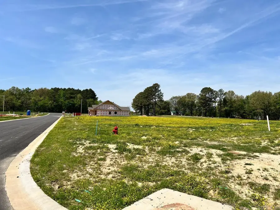 111 Horseshoe Creek Drive, Brookland, AR 72417 - #2