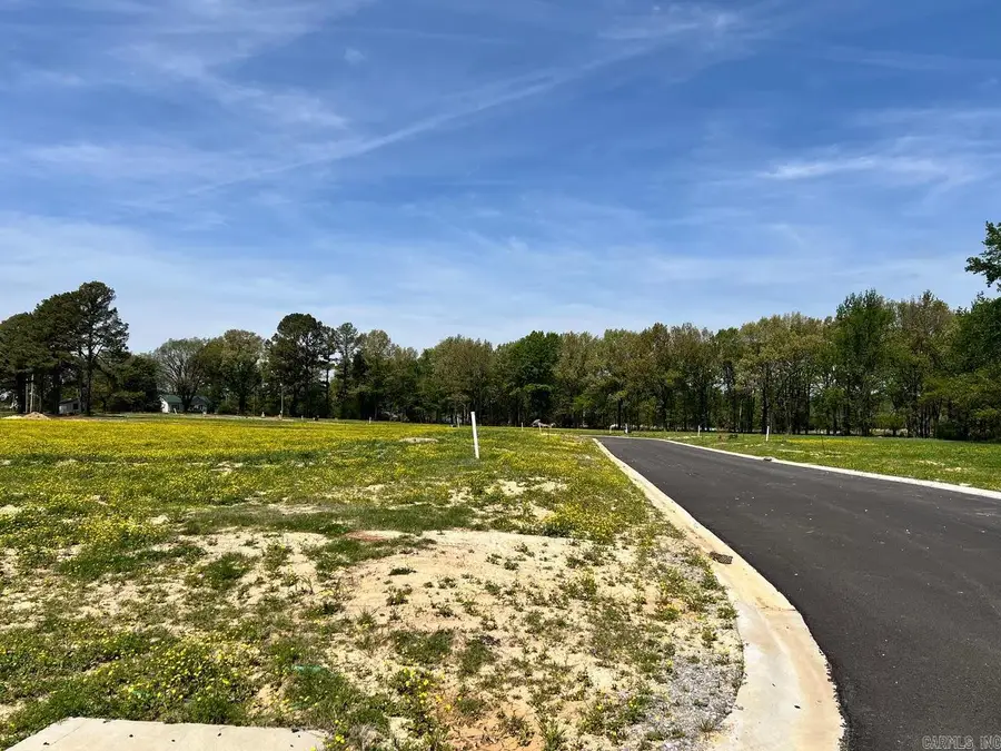 111 Horseshoe Creek Drive, Brookland, AR 72417 - #3