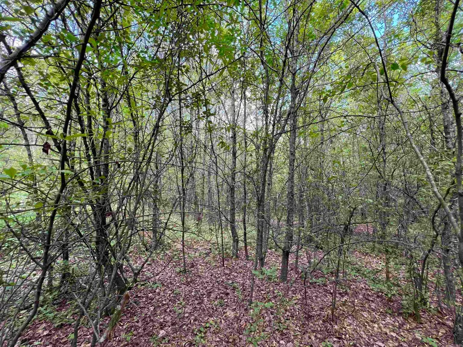 269 Walker Rd, Higginson, AR 72068 - #2