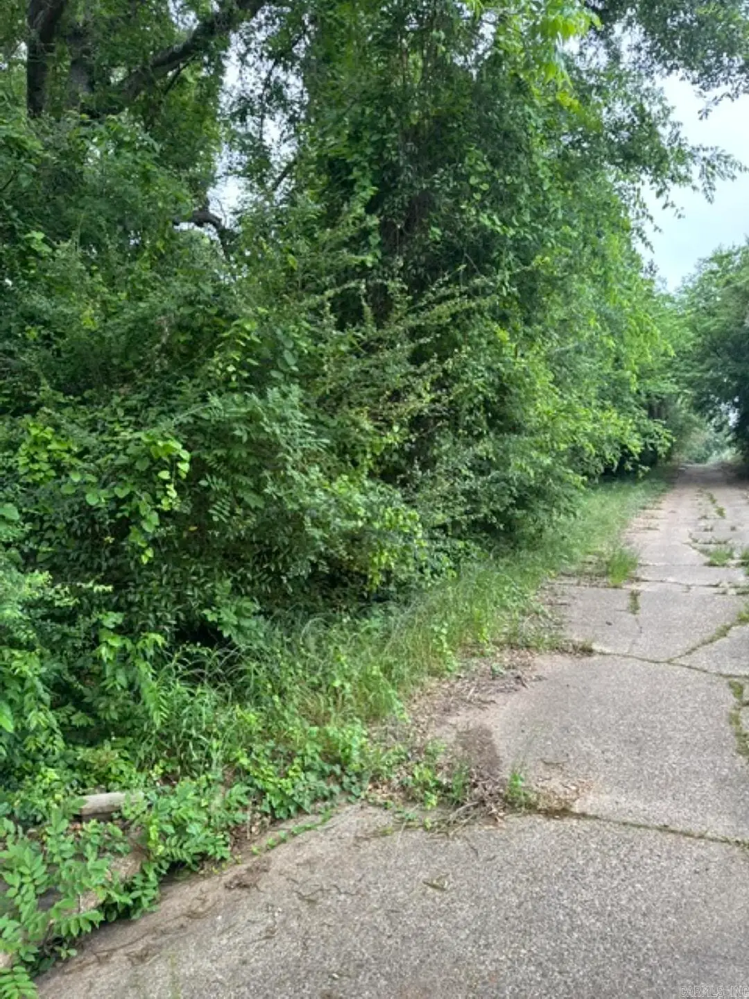 7 Lots On Ouachita, Camden, AR 71701 - #1