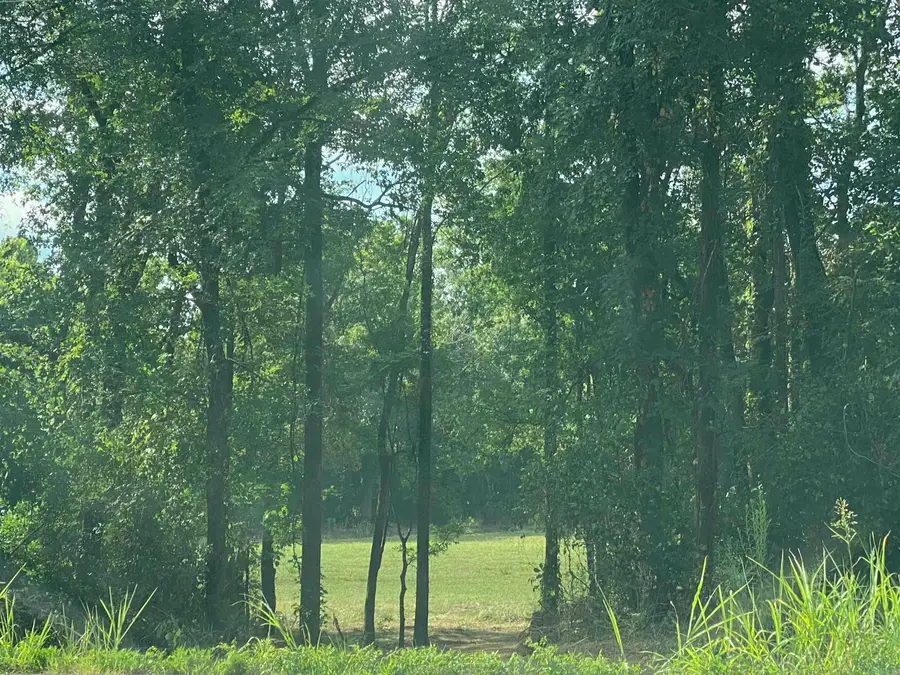 Lt 12 & 13 Hwy 27 North Southfork Highway, Story, AR 71970 - #2