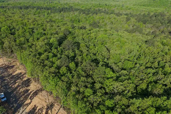 78 - 7 Lakes Ranch Blvd, Conway, AR 72023