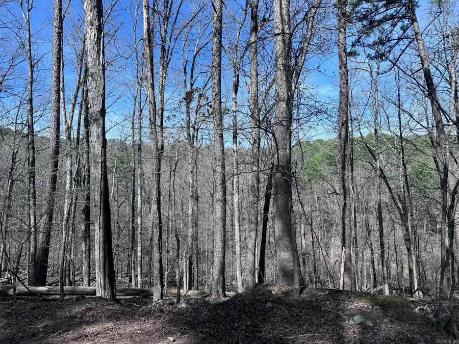 30 Badajoz Way, Hot Springs Village, AR 71909 - #2