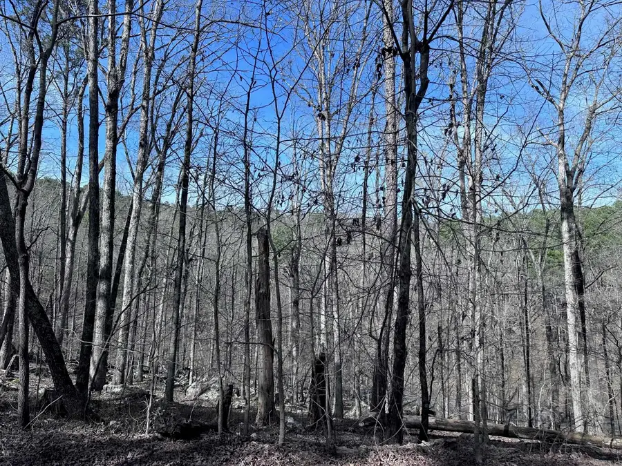 30 Badajoz Way, Hot Springs Village, AR 71909 - #3