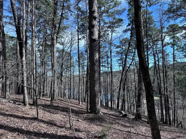 Address Withheld By Seller, Hot Springs Village, AR 71909