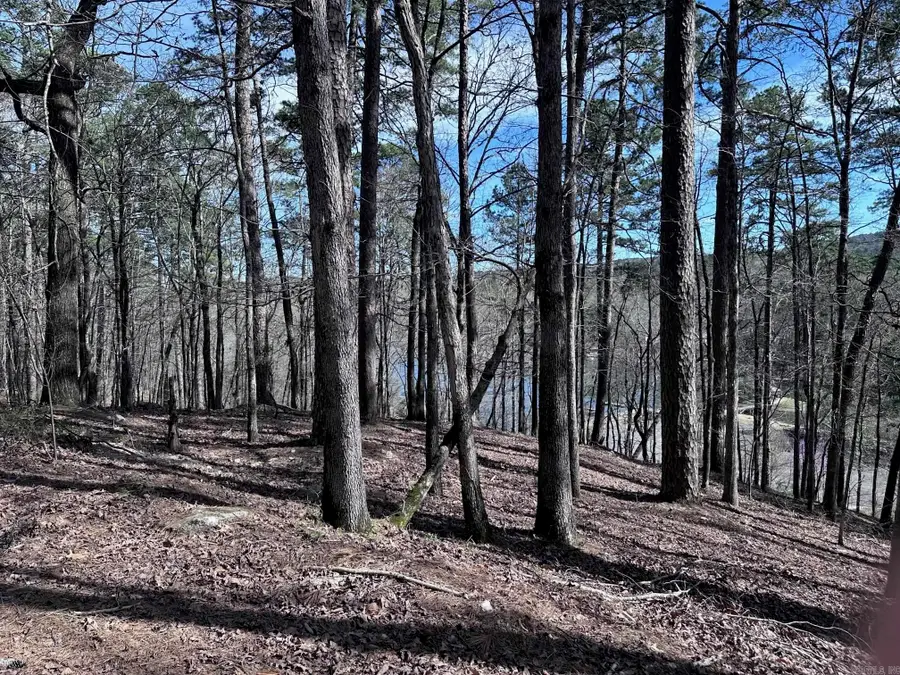 Address Withheld By Seller, Hot Springs Village, AR 71909 - #2