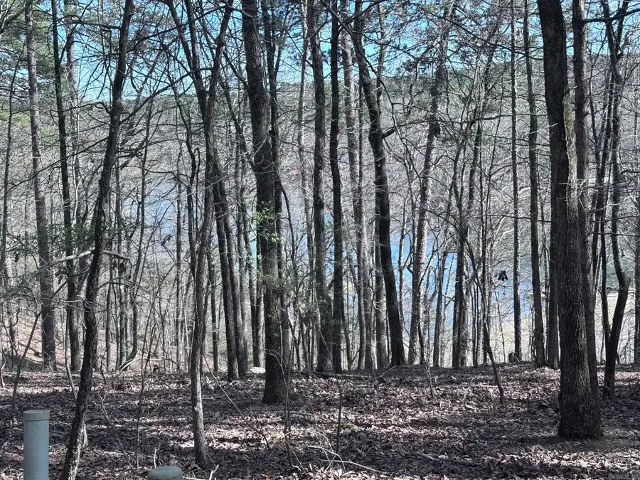 Address Withheld By Seller, Hot Springs Village, AR 71909 - #3