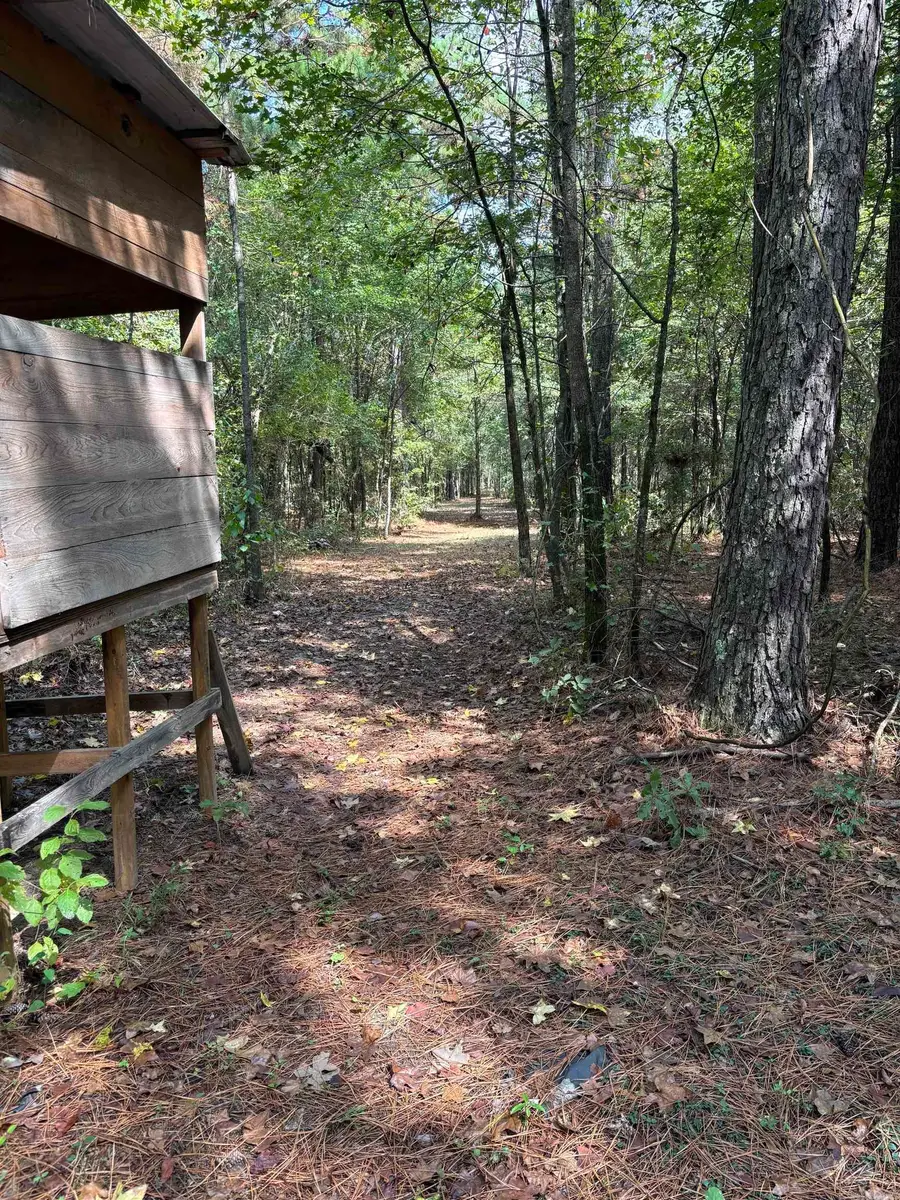 000 Avalon Road, Star City, AR 71667 - #2