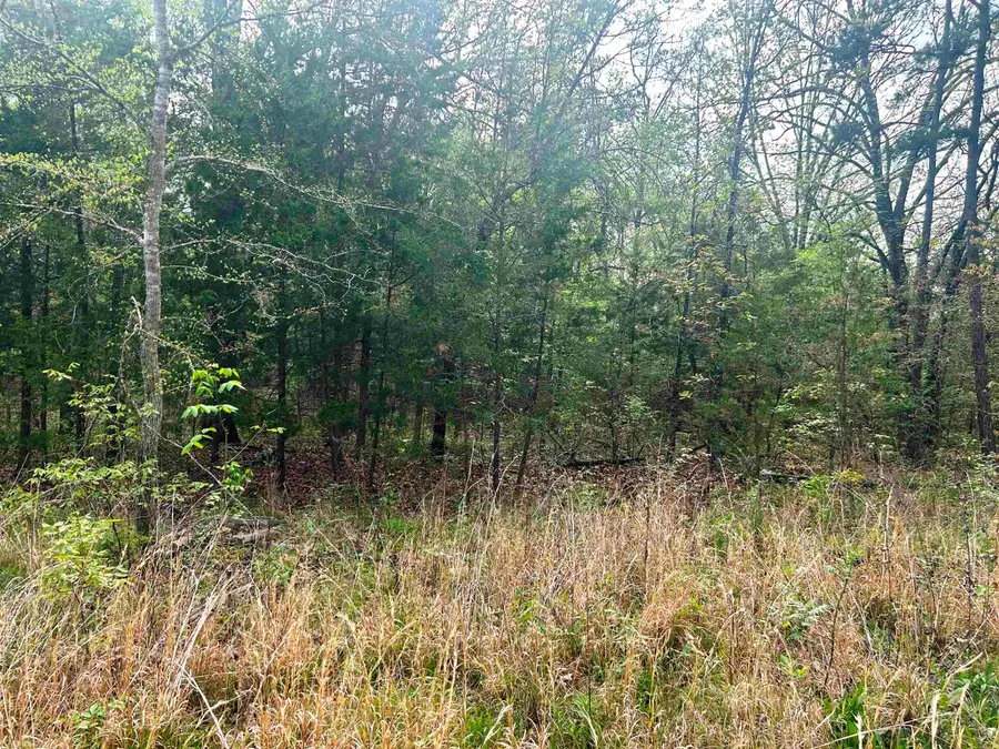 Block 55 Doe Run Circle, Glencoe, AR 72539 - #2