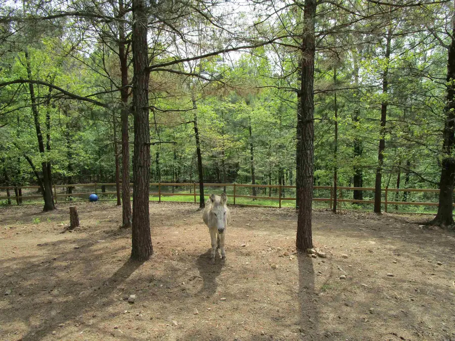 1800 Shady Grove, Hot Springs, AR 71901 - #3