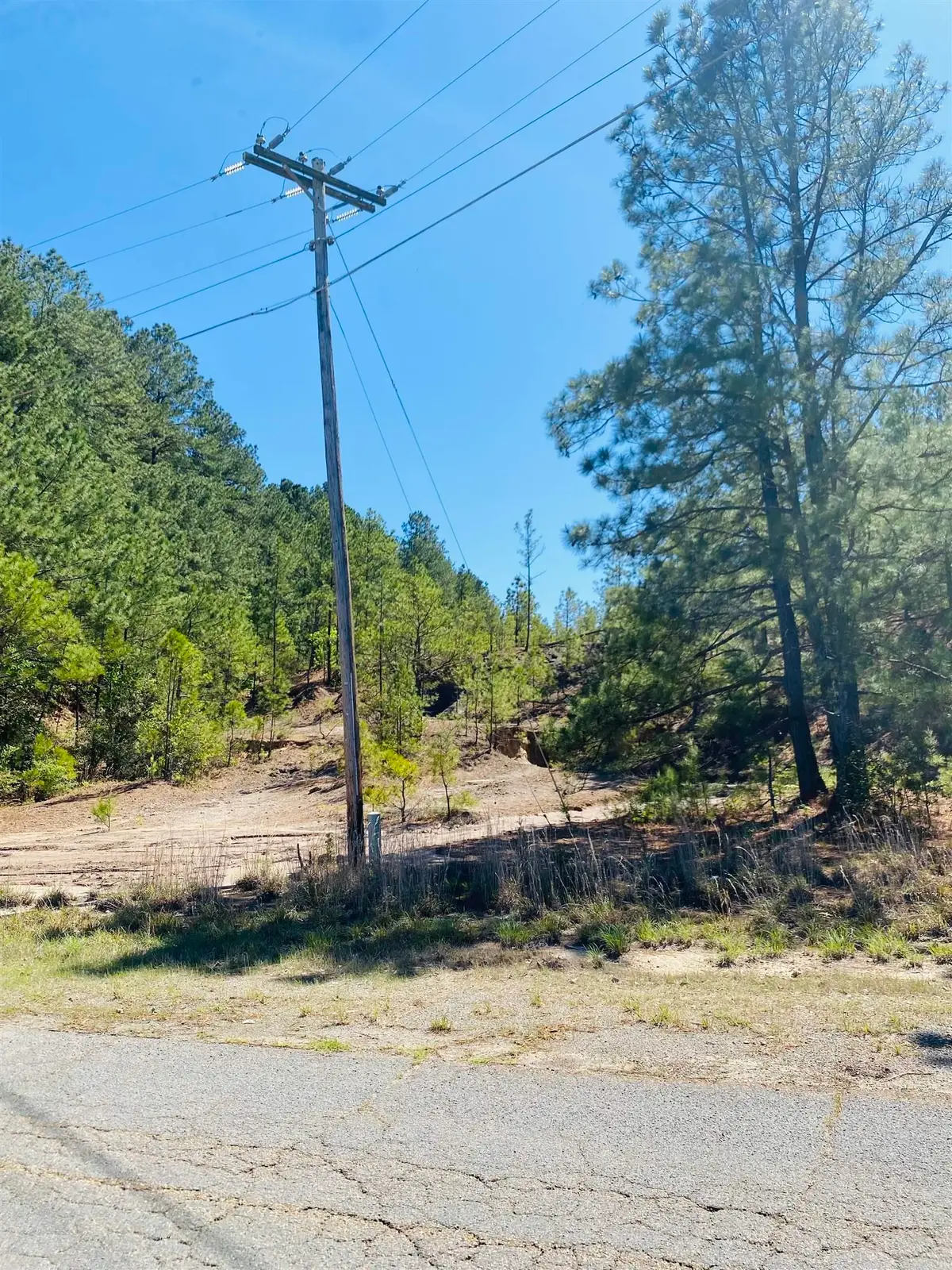 12.91 & 0.83 Acres Bradley Ferry Rd., Camden, AR 71701 - #1