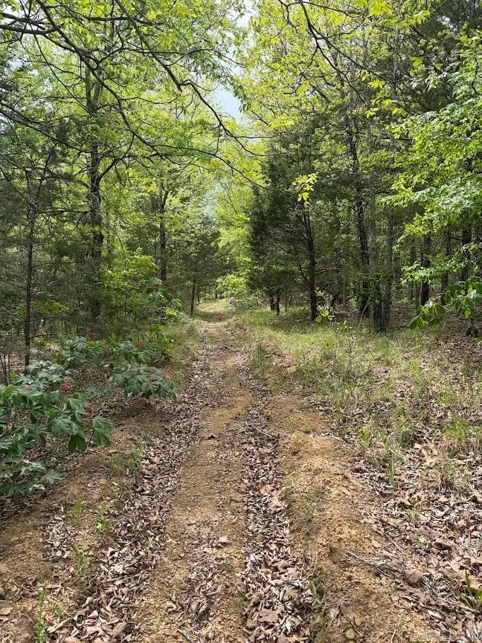 3122 Jackson 6, Bradford, AR 72020 - #3