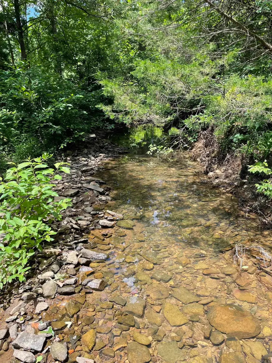 1315 Old Hwy 66, Leslie, AR 72645 - #2