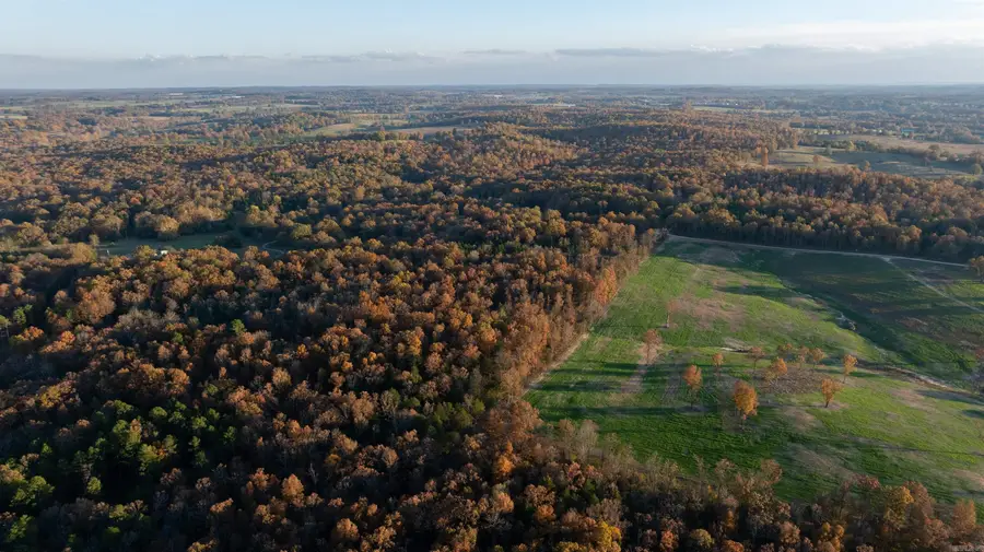 595 Needmore Road, Sidney, AR 72577 - #2