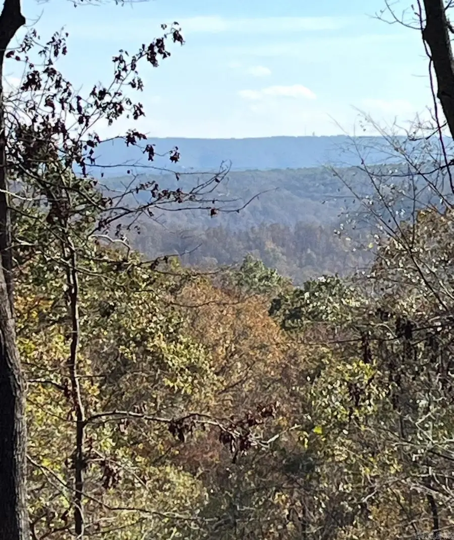 0 Grandpa Jones Road, Mountain View, AR 72560 - #3