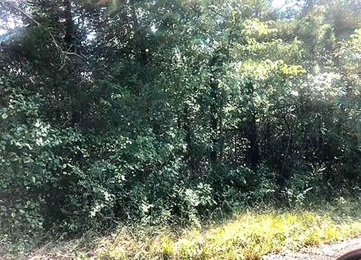 TBD Enid Drive, Cherokee Village, AR 72529 - #1