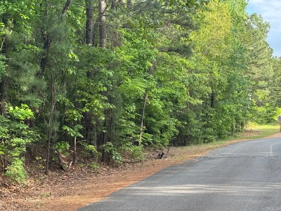 Lot 7 Chalet Sydney' J Subdivision, Camden, AR 71701 - #2