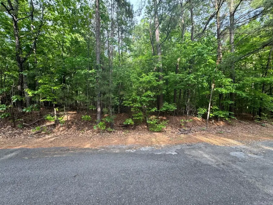 Lot 7 Chalet Sydney' J Subdivision, Camden, AR 71701 - #3