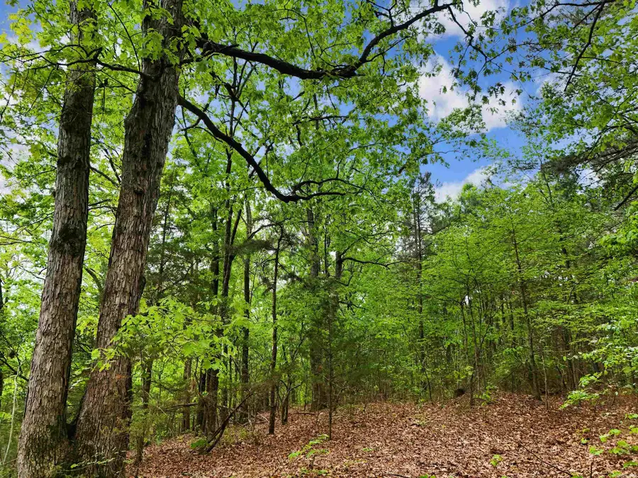 00 Stuart Road, Quitman, AR 72131 - #2