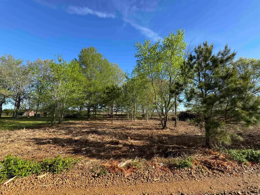 Lot 56 Cr 236, Cherry Valley, AR 72324 - #2