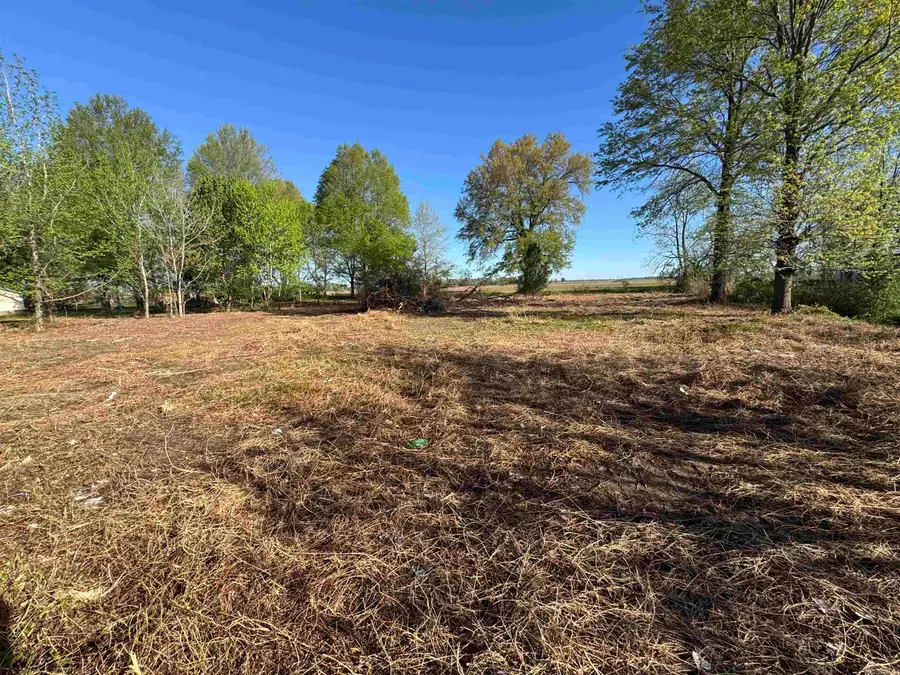 Lot 56 Cr 236, Cherry Valley, AR 72324 - #3