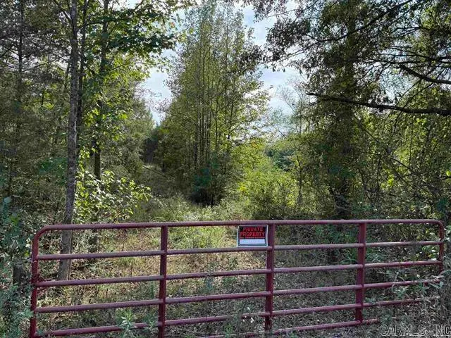 452-C Caney Valley Drive, Howard, AR 72127 - #2