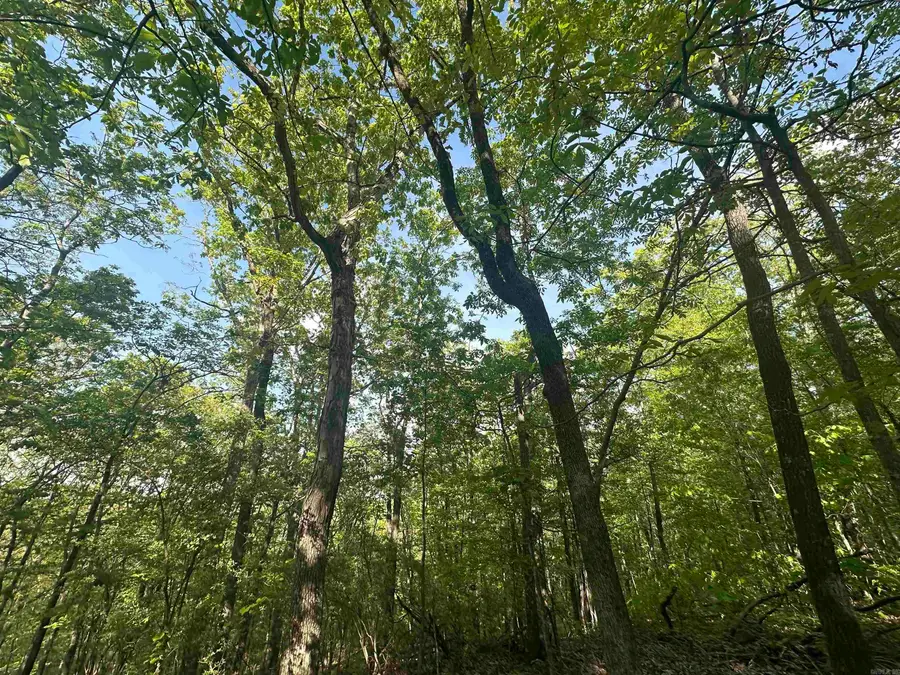 250 Windwood Country, El Paso, AR 72045 - #2