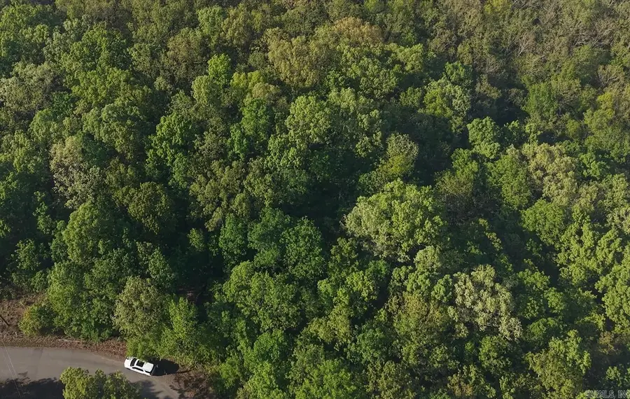 250 Windwood Country, El Paso, AR 72045 - #3