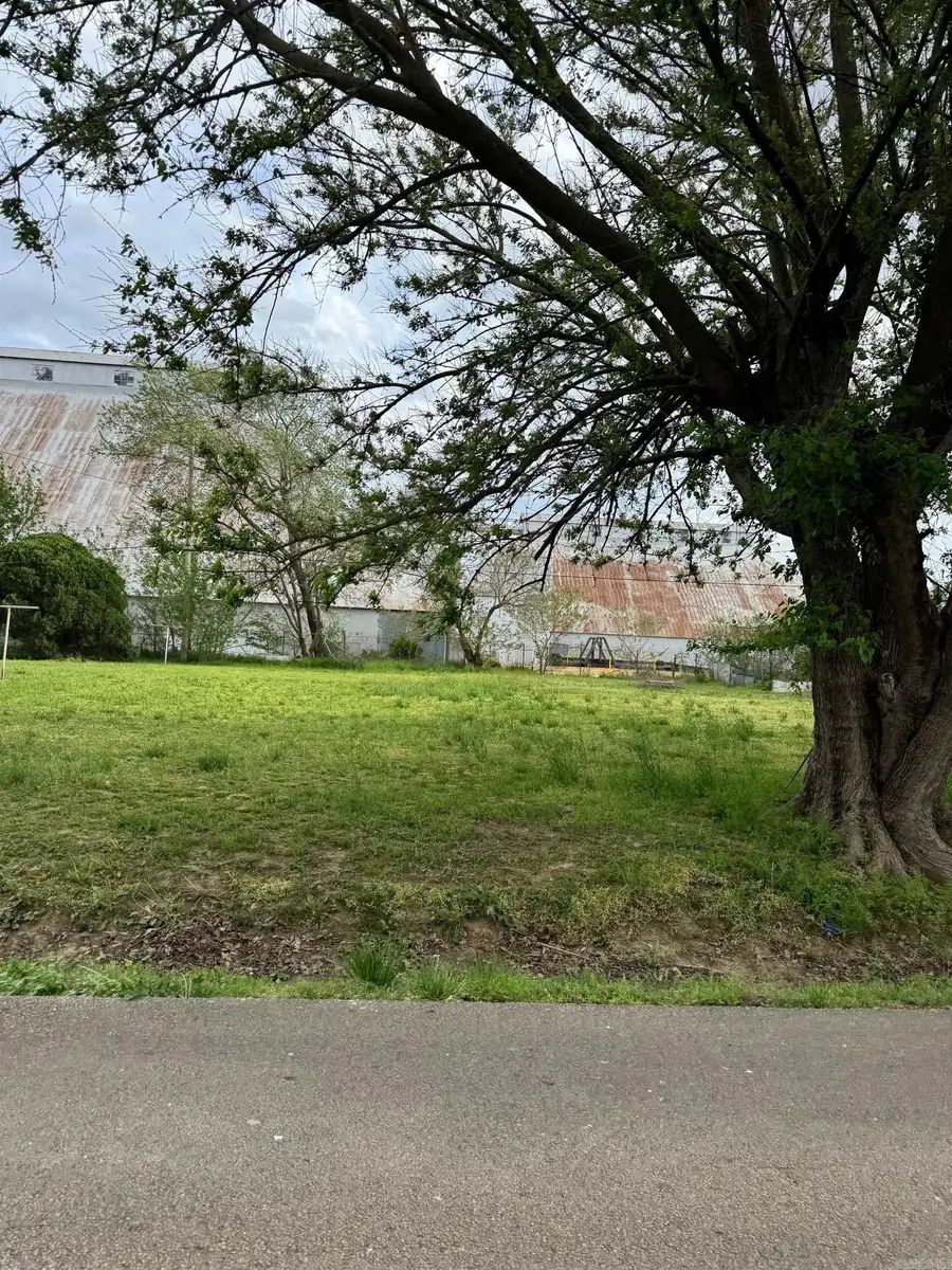 45 Bradley Lots 4 And 5, Kennett, MO 63857 - #2