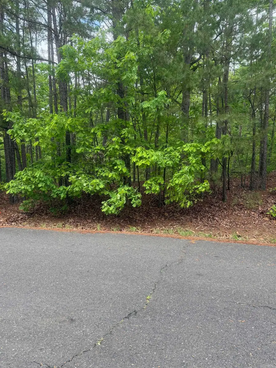 37 Dominar Way, Hot Springs Village, AR 71909 - #3