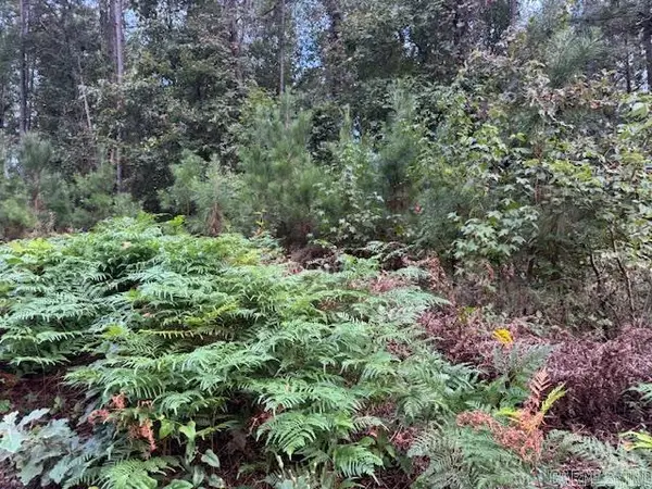 000 Perkins, Bonnerdale, AR 71957