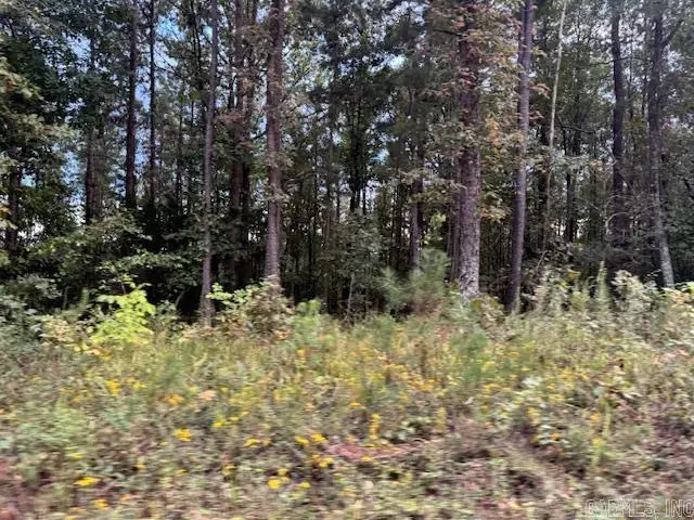 000 Perkins, Alamo, AR 71957 - #3