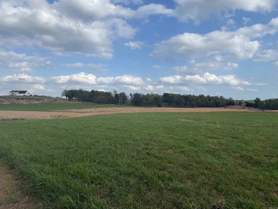 000 Dots Cove, Quitman, AR 72131 - #3