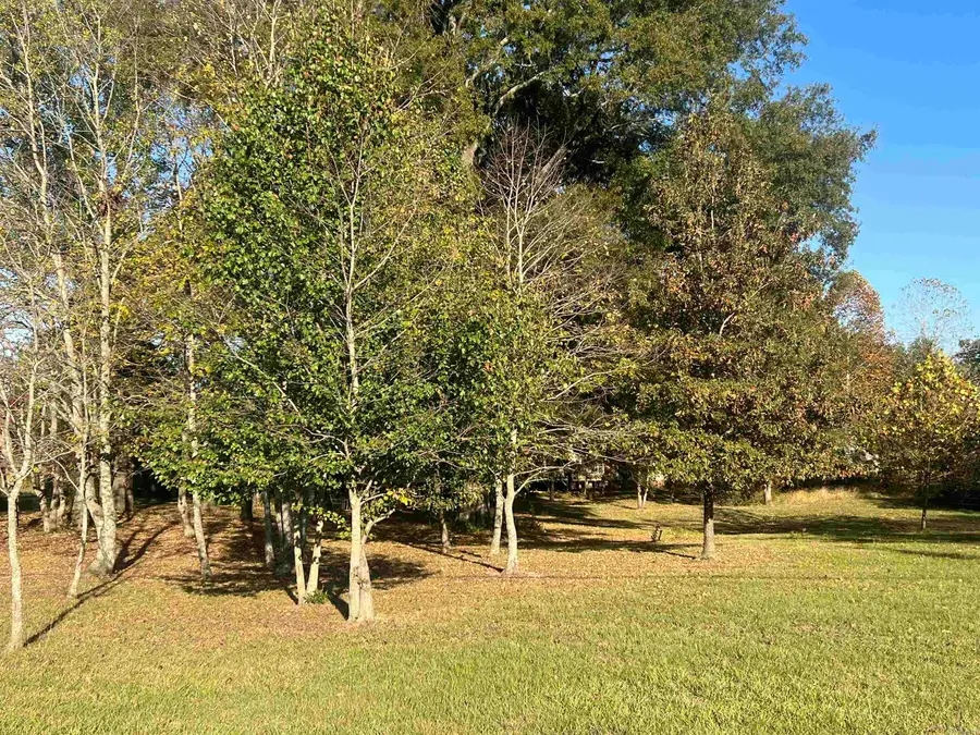 373 Heather Loop, Lonoke, AR 72086 - #2